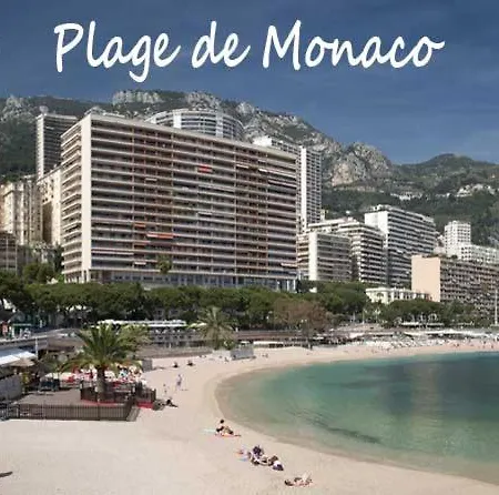 F1 50 M De Monaco Palais De France Appartement