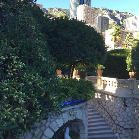 Appartement F1 50 M De Monaco Palais De France *